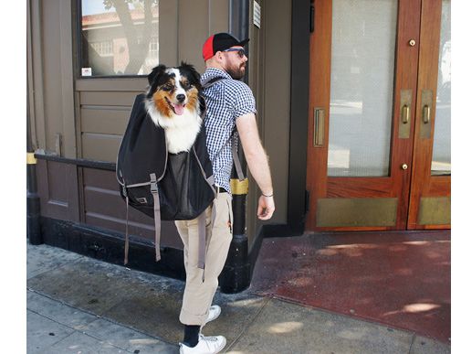 Pet purse carrier 