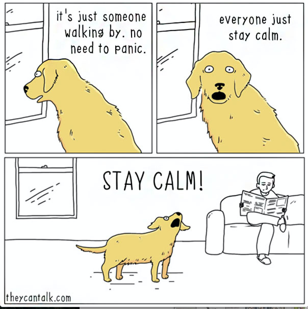 Dog Barks When I Cuddle Boyfriend Dog Barks When I Cuddle Boyfriend